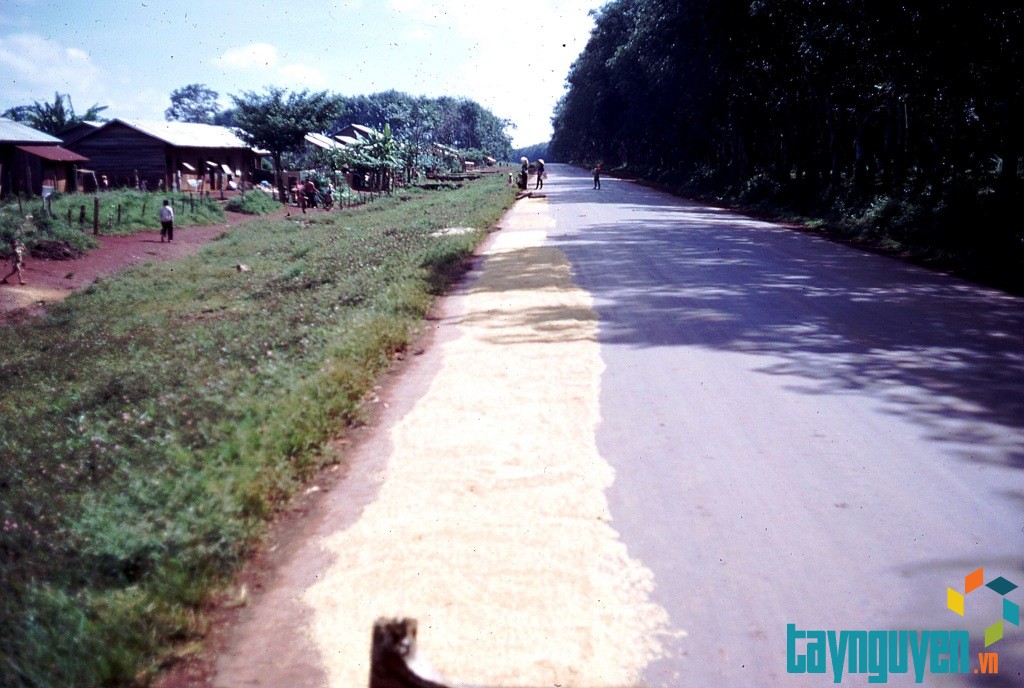 057 Ban Me Thuot, drying rice along the road