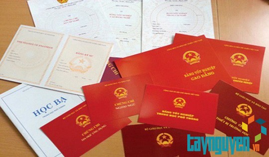 Đắk Nông: Liên tiếp phát hiện lãnh đạo xã dùng bằng cấp "không hợp pháp"